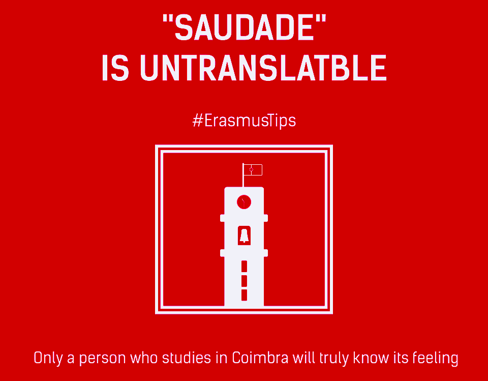 11949467_1122613027753600_5646140490062567792_n